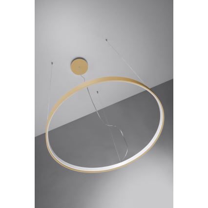 Thoro TH.216 - LED Lestenec na vrvici RIO LED/30W/230V CRI 90 3000K pr. 55 cm zlata