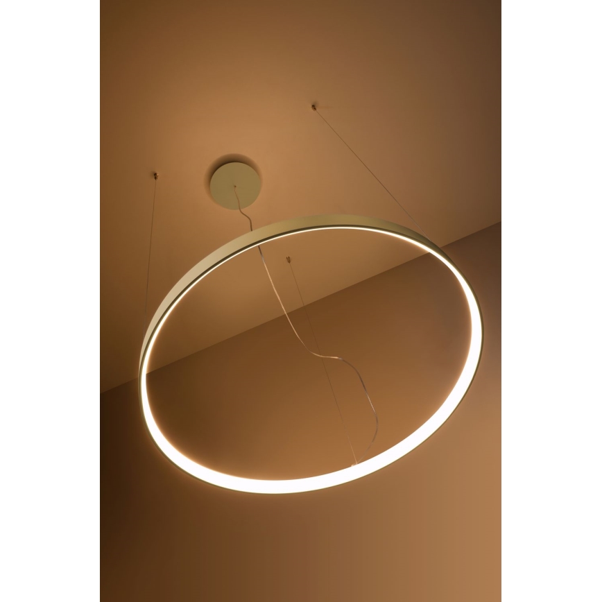 Thoro TH.216 - LED Lestenec na vrvici RIO LED/30W/230V CRI 90 3000K pr. 55 cm zlata