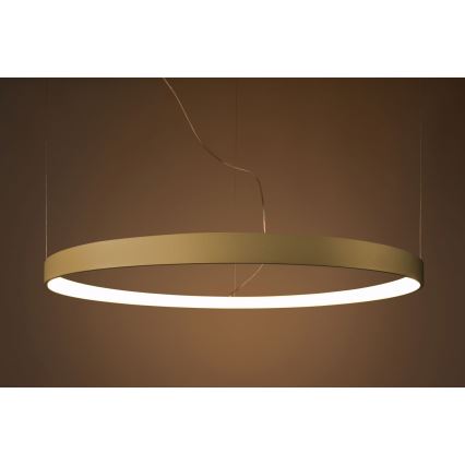 Thoro TH.216 - LED Lestenec na vrvici RIO LED/30W/230V CRI 90 3000K pr. 55 cm zlata