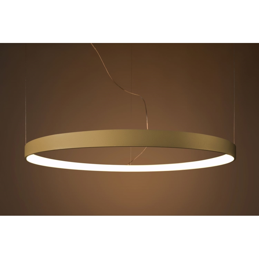 Thoro TH.216 - LED Lestenec na vrvici RIO LED/30W/230V CRI 90 3000K pr. 55 cm zlata