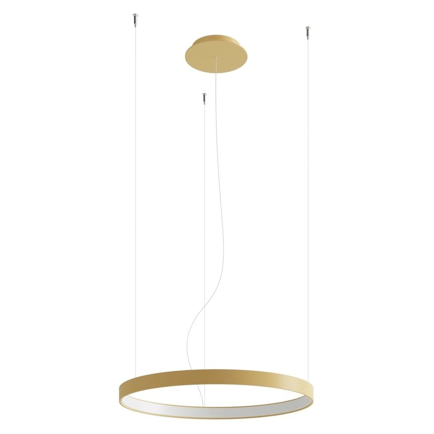 Thoro TH.216 - LED Lestenec na vrvici RIO LED/30W/230V CRI 90 3000K pr. 55 cm zlata