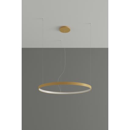 Thoro TH.217 - LED Lestenec na vrvici RIO LED/30W/230V CRI 95 4000K pr. 55 cm zlata