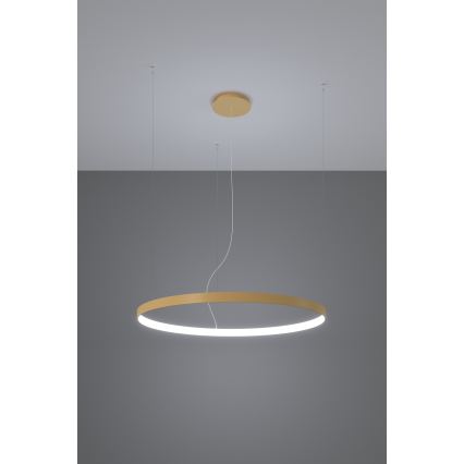 Thoro TH.217 - LED Lestenec na vrvici RIO LED/30W/230V CRI 95 4000K pr. 55 cm zlata