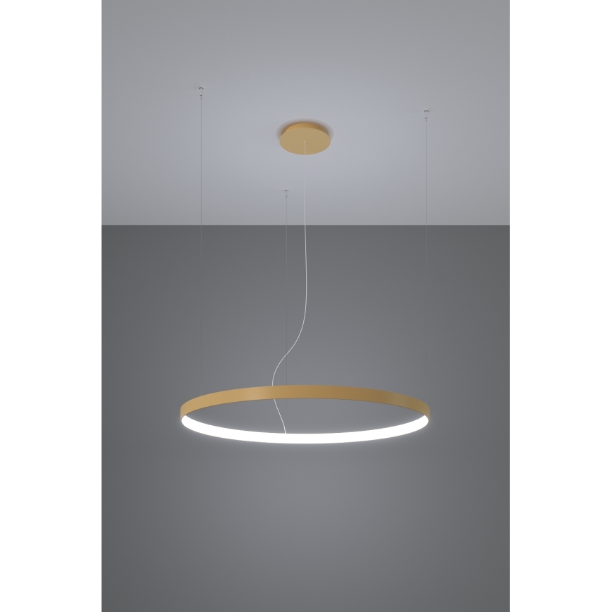 Thoro TH.217 - LED Lestenec na vrvici RIO LED/30W/230V CRI 95 4000K pr. 55 cm zlata