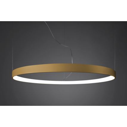 Thoro TH.217 - LED Lestenec na vrvici RIO LED/30W/230V CRI 95 4000K pr. 55 cm zlata