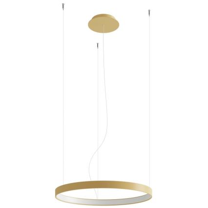 Thoro TH.217 - LED Lestenec na vrvici RIO LED/30W/230V CRI 95 4000K pr. 55 cm zlata