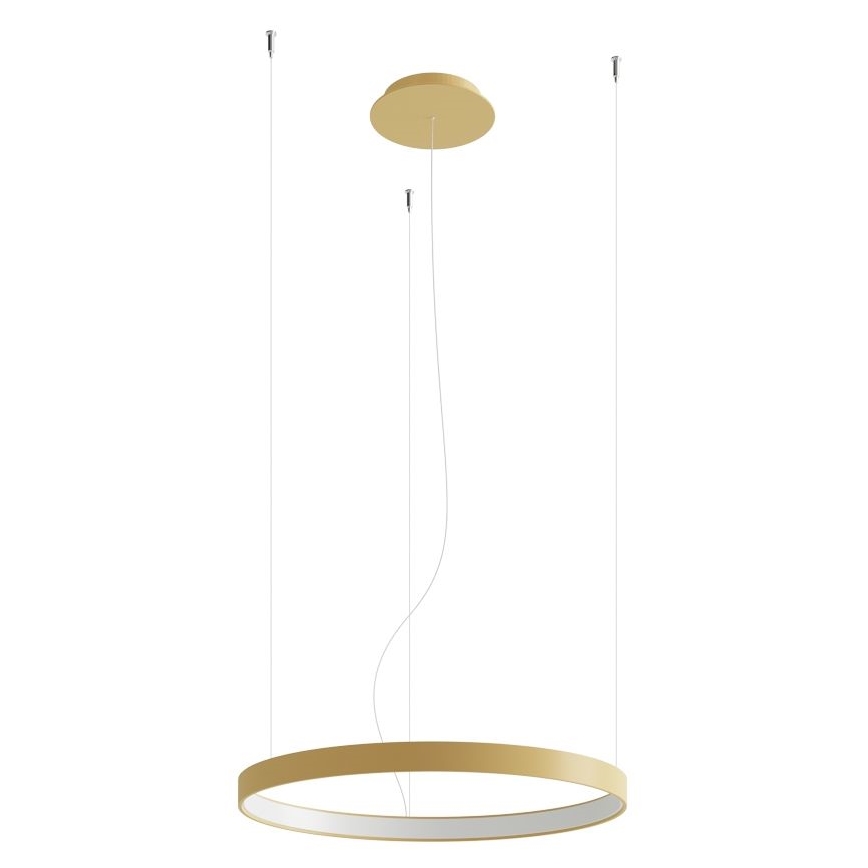 Thoro TH.217 - LED Lestenec na vrvici RIO LED/30W/230V CRI 95 4000K pr. 55 cm zlata