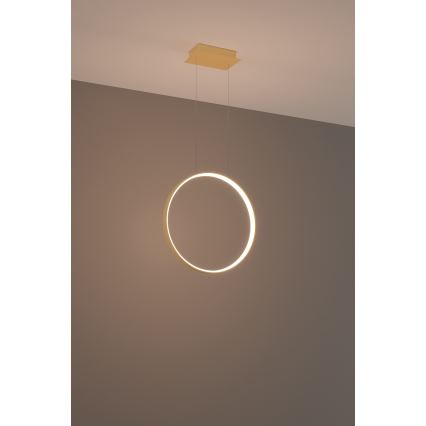 Thoro TH.220 - LED Lestenec na vrvici RIO LED/30W/230V CRI 90 3000K pr. 55 cm zlata