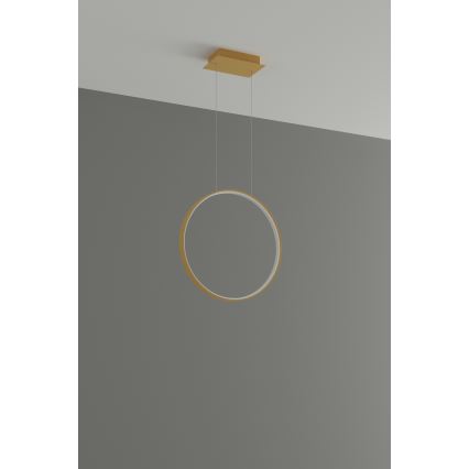 Thoro TH.221 - LED Lestenec na vrvici RIO LED/30W/230V CRI 95 4000K pr. 55 cm zlata