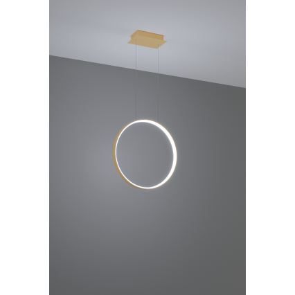 Thoro TH.221 - LED Lestenec na vrvici RIO LED/30W/230V CRI 95 4000K pr. 55 cm zlata