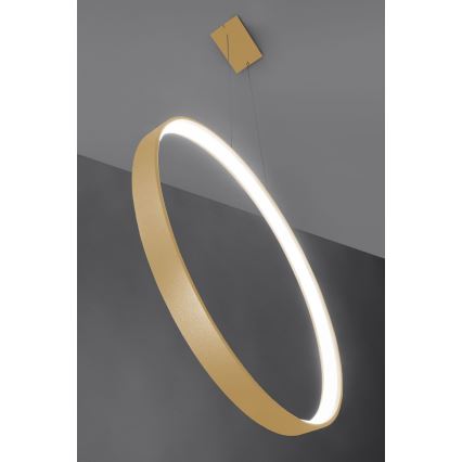 Thoro TH.221 - LED Lestenec na vrvici RIO LED/30W/230V CRI 95 4000K pr. 55 cm zlata