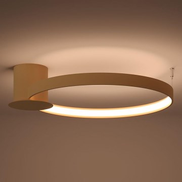 Thoro TH.222 - LED Stropna svetilka RIO LED/30W/230V CRI 90 3000K pr. 55 cm zlata