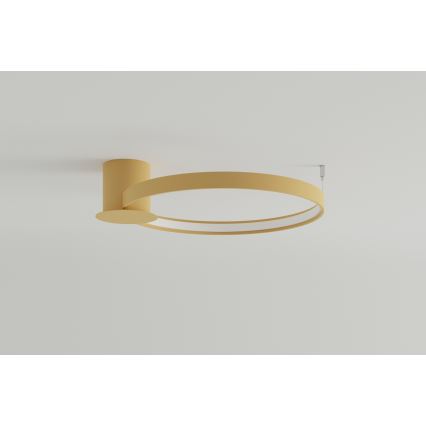 Thoro TH.222 - LED Stropna svetilka RIO LED/30W/230V CRI 90 3000K pr. 55 cm zlata