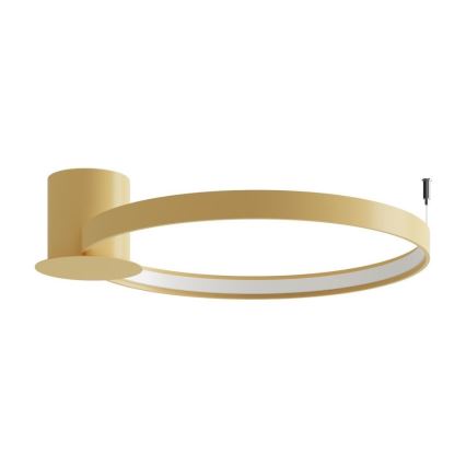 Thoro TH.222 - LED Stropna svetilka RIO LED/30W/230V CRI 90 3000K pr. 55 cm zlata