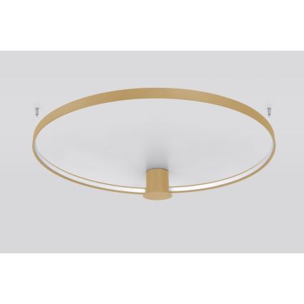 Thoro TH.222 - LED Stropna svetilka RIO LED/30W/230V CRI 90 3000K pr. 55 cm zlata