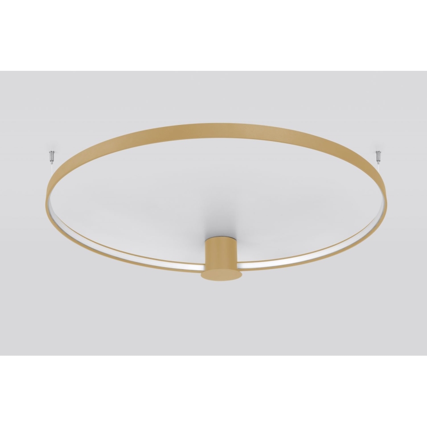 Thoro TH.222 - LED Stropna svetilka RIO LED/30W/230V CRI 90 3000K pr. 55 cm zlata