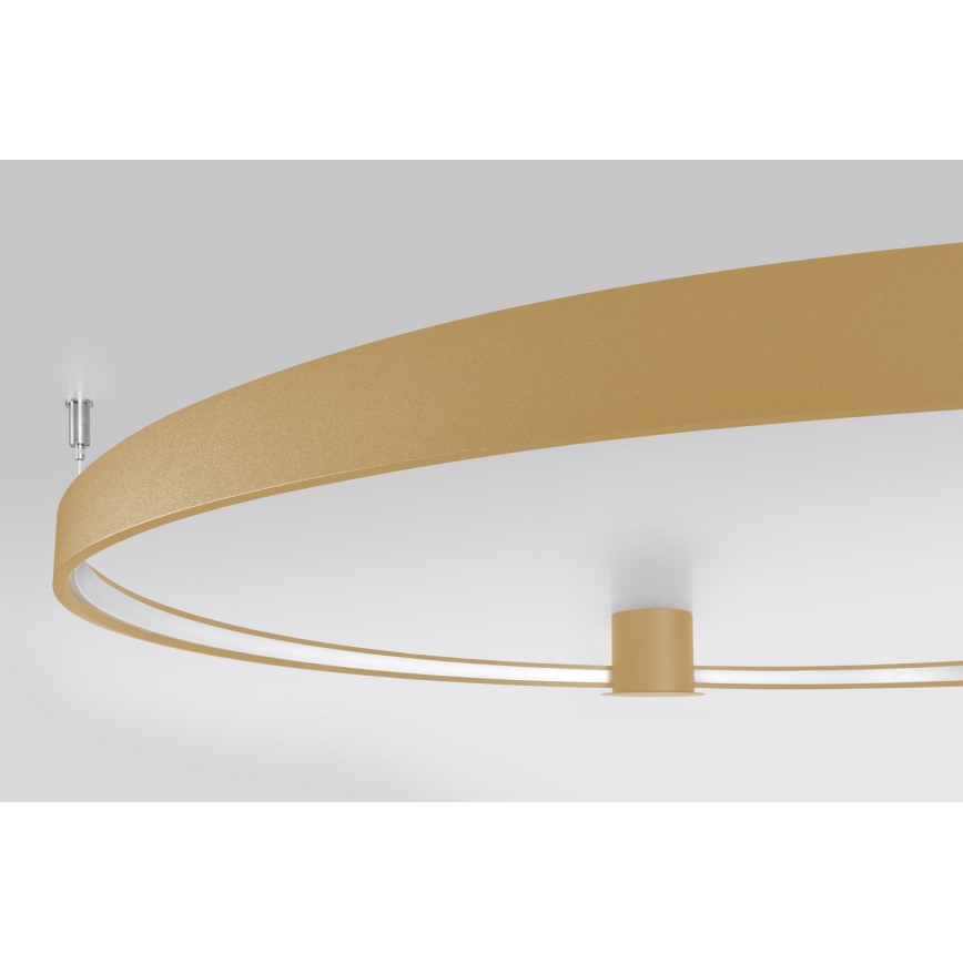 Thoro TH.222 - LED Stropna svetilka RIO LED/30W/230V CRI 90 3000K pr. 55 cm zlata