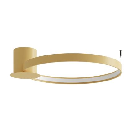 Thoro TH.223 - LED Stropna svetilka RIO LED/30W/230V CRI 95 4000K pr. 55 cm zlata