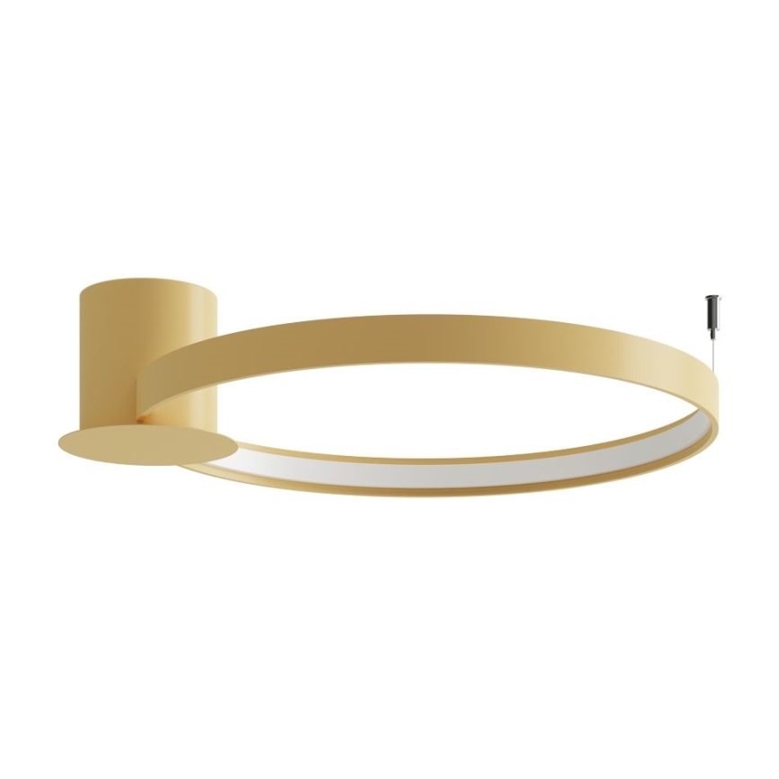 Thoro TH.223 - LED Stropna svetilka RIO LED/30W/230V CRI 95 4000K pr. 55 cm zlata