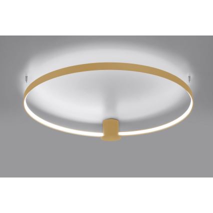 Thoro TH.223 - LED Stropna svetilka RIO LED/30W/230V CRI 95 4000K pr. 55 cm zlata