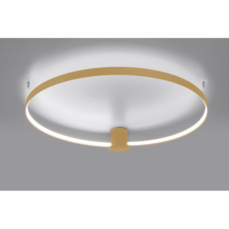 Thoro TH.223 - LED Stropna svetilka RIO LED/30W/230V CRI 95 4000K pr. 55 cm zlata