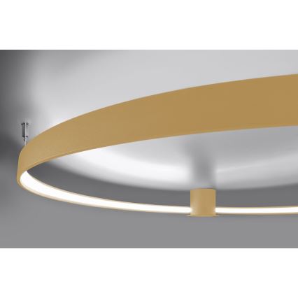 Thoro TH.223 - LED Stropna svetilka RIO LED/30W/230V CRI 95 4000K pr. 55 cm zlata