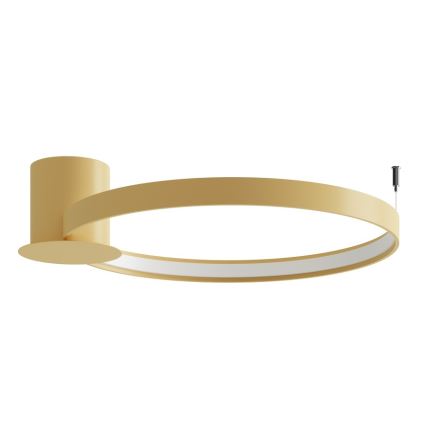 Thoro TH.223 - LED stropna svetilka RIO LED/30W/230V CRI 98 4000K Ø 55 cm zlata