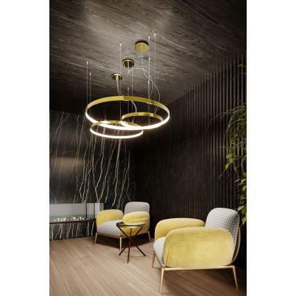Thoro TH.246 - LED Lestenec na vrvici RIO LED/50W/230V CRI 90 3000K pr. 78 cm zlata