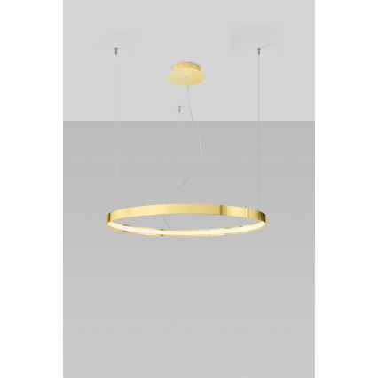 Thoro TH.246 - LED Lestenec na vrvici RIO LED/50W/230V CRI 90 3000K pr. 78 cm zlata