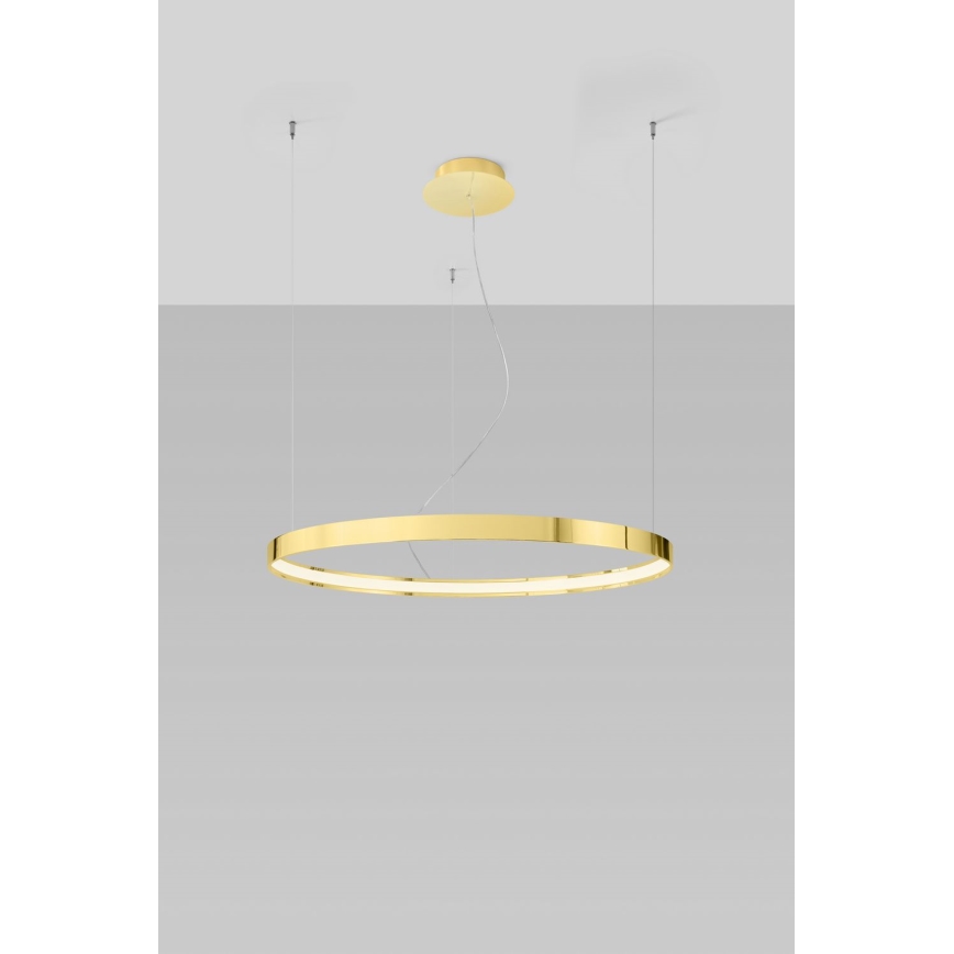Thoro TH.246 - LED Lestenec na vrvici RIO LED/50W/230V CRI 90 3000K pr. 78 cm zlata