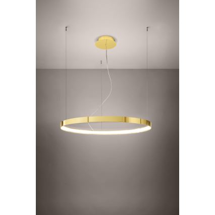 Thoro TH.246 - LED Lestenec na vrvici RIO LED/50W/230V CRI 90 3000K pr. 78 cm zlata