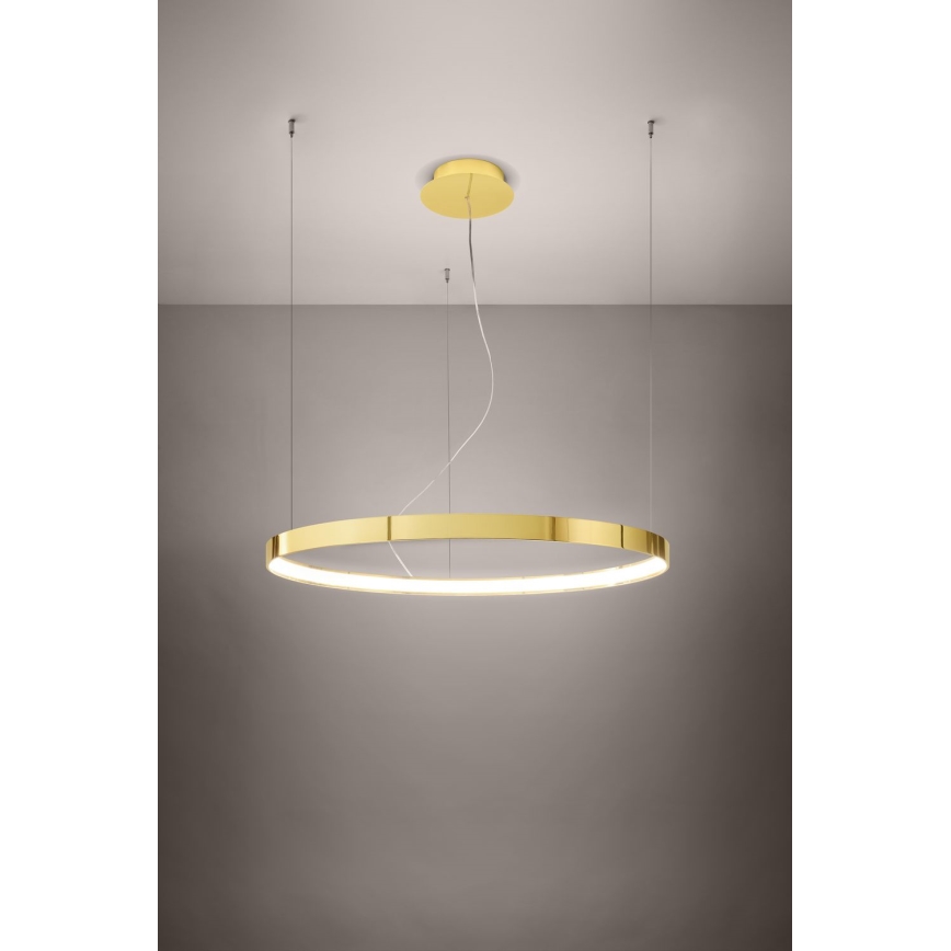Thoro TH.246 - LED Lestenec na vrvici RIO LED/50W/230V CRI 90 3000K pr. 78 cm zlata