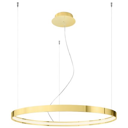 Thoro TH.246 - LED Lestenec na vrvici RIO LED/50W/230V CRI 90 3000K pr. 78 cm zlata