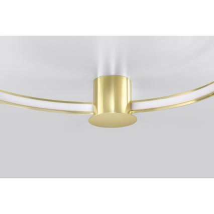 Thoro TH.252 - LED Stropna svetilka RIO LED/50W/230V CRI 90 3000K pr. 78 cm zlata