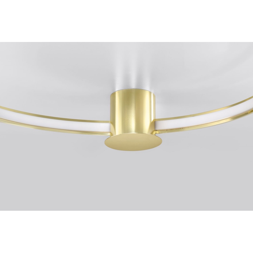 Thoro TH.252 - LED Stropna svetilka RIO LED/50W/230V CRI 90 3000K pr. 78 cm zlata