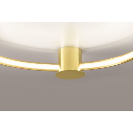 Thoro TH.252 - LED Stropna svetilka RIO LED/50W/230V CRI 90 3000K pr. 78 cm zlata