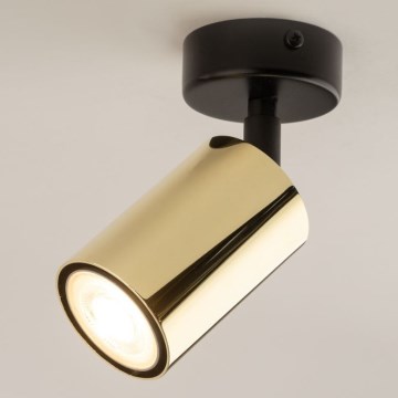 Točkovna svetilka ZOOM 1xGU10/10W/230V zlata/črna