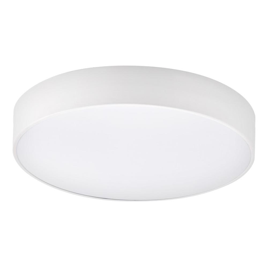 Top Light - LED Kopalniška stropna svetilka PETAL LED/24W/230V IP44 3000/4000/6500K pr. 35 cm bela