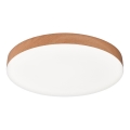 Top Light - LED kopalniška stropna svetilka SPIRIT LED/36W/230V 3000/4000/6500K IP44 premer 40 cm rjava