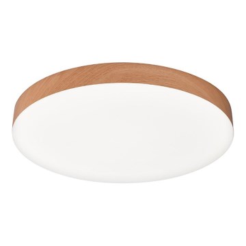 Top Light - LED kopalniška stropna svetilka SPIRIT LED/36W/230V 3000/4000/6500K IP44 premer 40 cm rjava