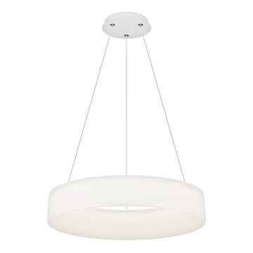Top Light - LED prenosna viseča svetilka HALO LED/60W/230V 3000-6500K pr. 60 cm + daljinski upravljalnik