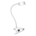 Top Light - LED Senzorna namizna svetilka z nosilcem BELLA LED/4,8W/5V 3000-6500K bela