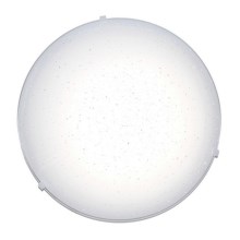 Top Light - LED Stropna svetilka LED/12W/230V