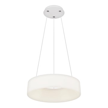Top Light - LED Svetlobni lestenec na vrvici HALO LED/40W/230V 3000-6500K premer 44 cm + daljinski upravljalnik