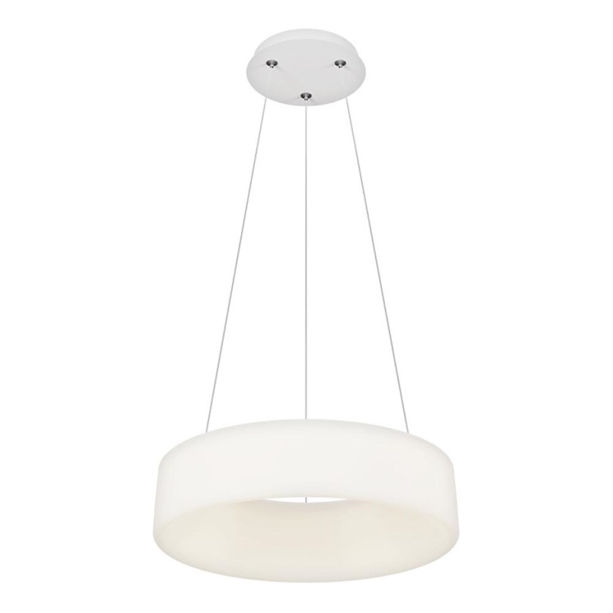 Top Light - LED Svetlobni lestenec na vrvici HALO LED/40W/230V 3000-6500K premer 44 cm + daljinski upravljalnik
