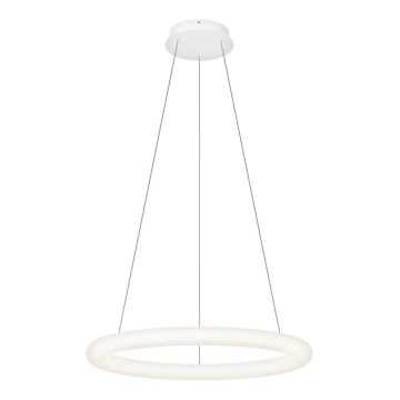 Top Light - LED zatemljiv lestenec na kablu RINGO LED/40W/230V 3000-6500K bela + daljinski upravljalnik