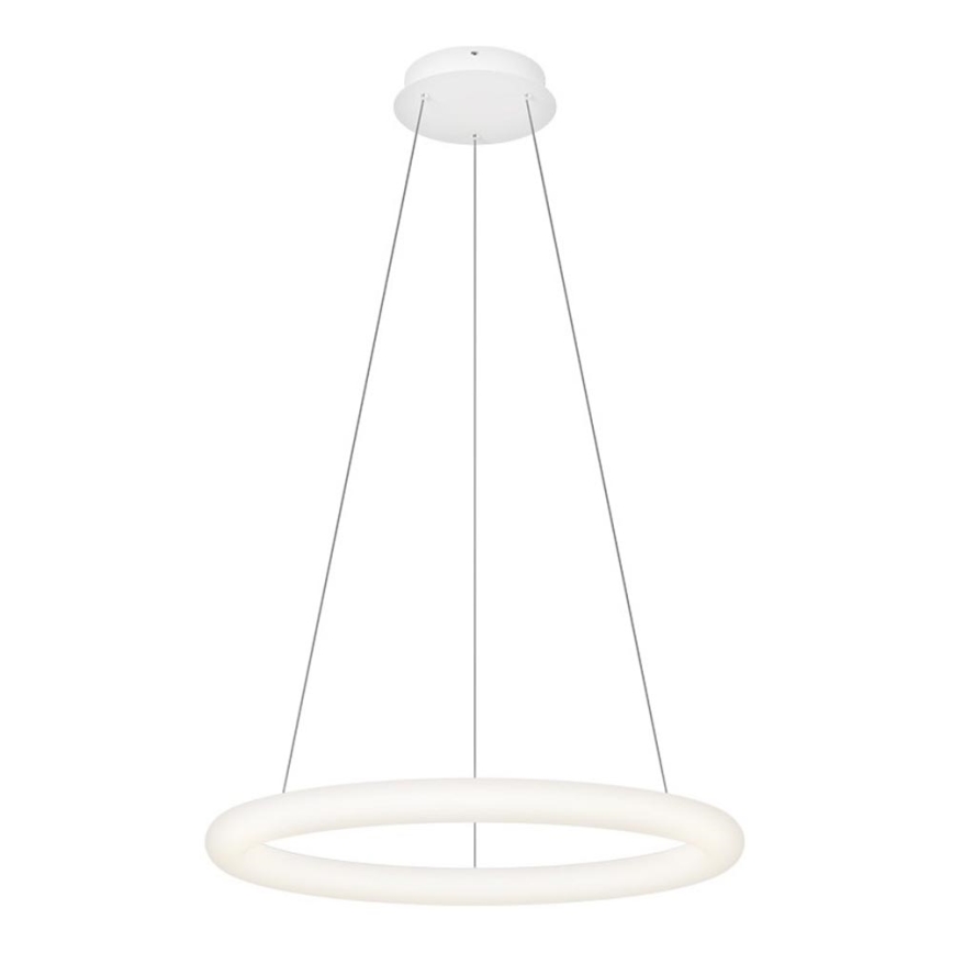 Top Light - LED zatemljiv lestenec na kablu RINGO LED/40W/230V 3000-6500K bela + daljinski upravljalnik