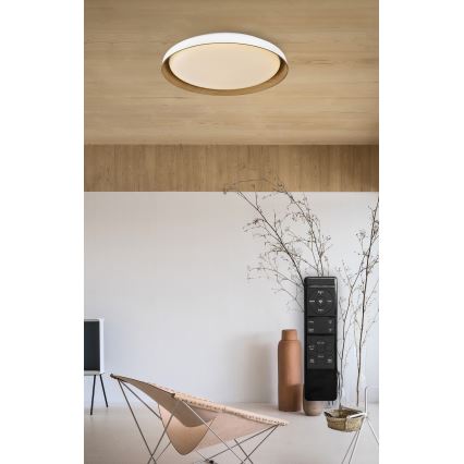 Top Light - LED Zatemnitvena stropna svetilka SATELLITE LED/48W/230V 3000-6500K pr. 53 cm bela/rjava + Daljinski upravljalnik