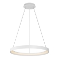 Top Light - LED Zatemnitveni lestenec na vrvici ORBIT LED/40W/230V 3000-6500K pr. 50 cm bela + Daljinski upravljalnik