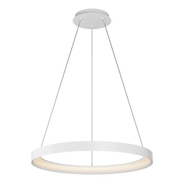 Top Light - LED Zatemnitveni lestenec na vrvici ORBIT LED/40W/230V 3000-6500K pr. 50 cm bela + Daljinski upravljalnik